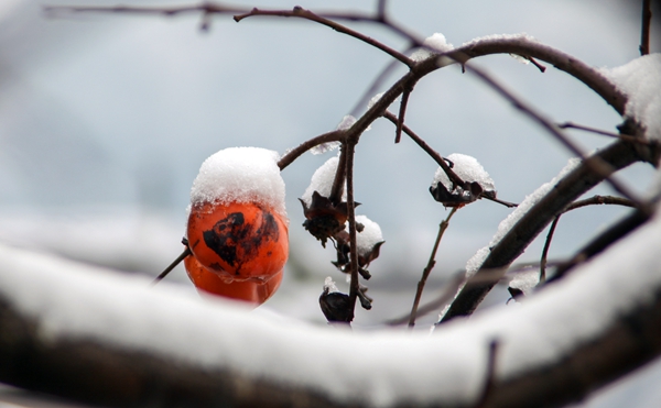 16_副本.jpg 16_副本.jpg