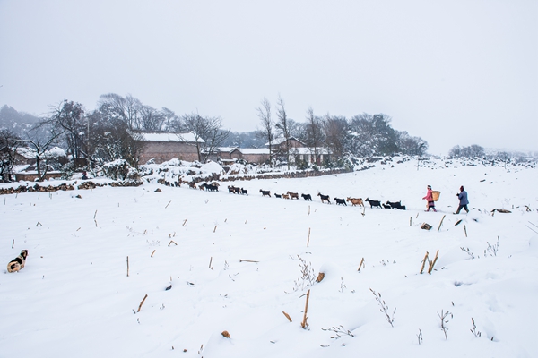 13_副本.jpg 13_副本.jpg