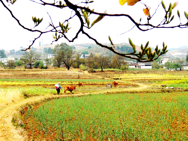 圖片4_副本.png 圖片4_副本.png