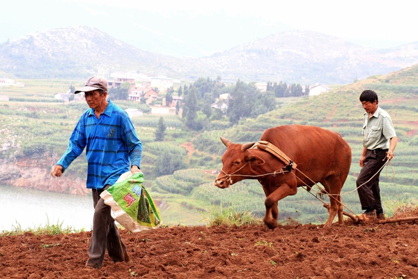 原圖——【紀(jì)檢人·鏡頭】谷雨_副本.jpg 原圖——【紀(jì)檢人·鏡頭】谷雨_副本.jpg