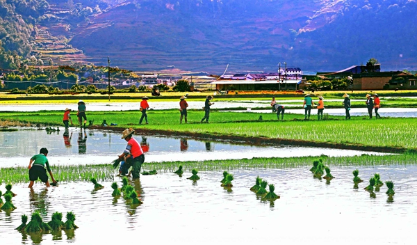 1 _副本.jpg 1 _副本.jpg