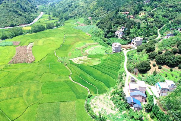 林場(chǎng)_副本.jpg 林場(chǎng)_副本.jpg