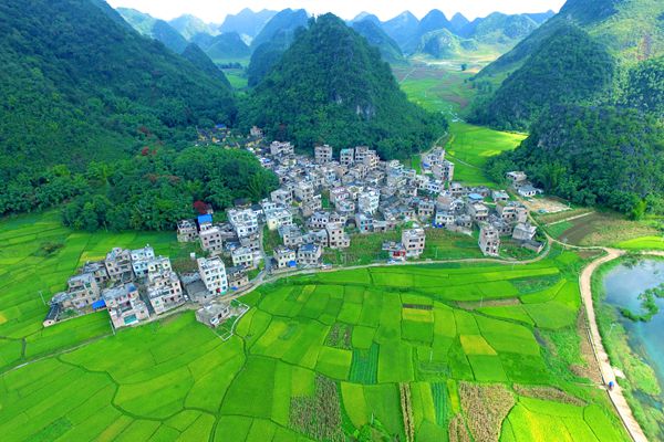 牙龍_副本.jpg 牙龍_副本.jpg