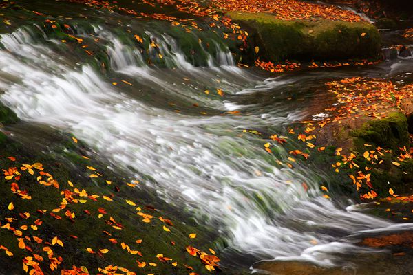 寒露無痕 秋夢入溪_副本.jpg 寒露無痕 秋夢入溪_副本.jpg