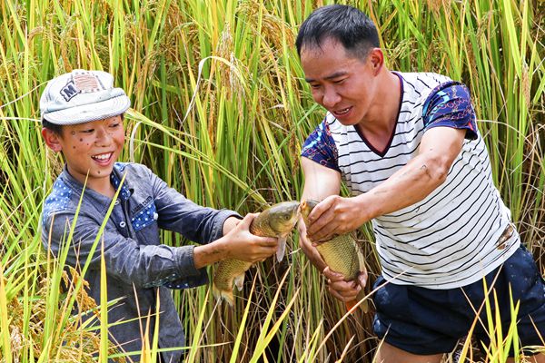QQ圖片20180725092158_副本.jpg QQ圖片20180725092158_副本.jpg
