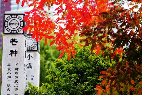 IMG_6729_愛奇藝_副本.jpg IMG_6729_愛奇藝_副本.jpg