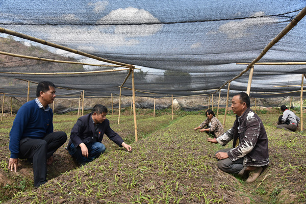 25.5._副本.jpg 25.5._副本.jpg