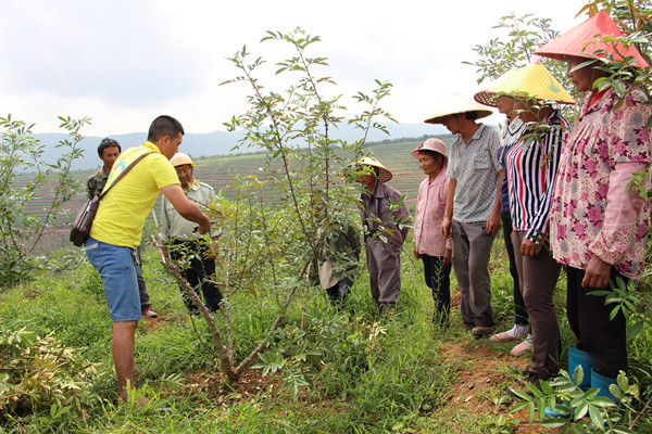 25.10_副本.jpg 25.10_副本.jpg