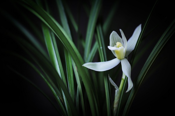 昆明嵩明.jpg 昆明嵩明.jpg