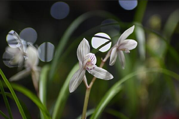 TIM截圖20190418145417.jpg TIM截圖20190418145417.jpg