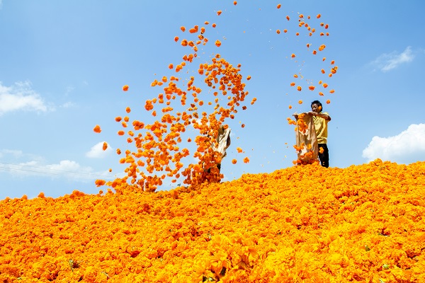 5丘北.jpg 5丘北.jpg