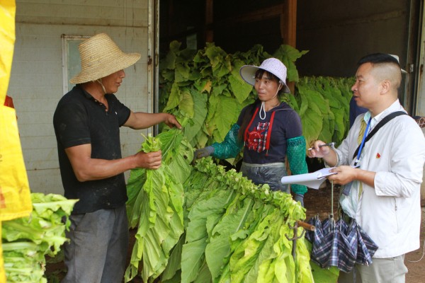 6、巡察人員深入群眾中,詳細查詢烤煙補助情況(王銘堅 攝).jpg 6、巡察人員深入群眾中,詳細查詢烤煙補助情況(王銘堅 攝).jpg