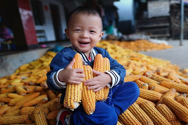 1鎮(zhèn)康.jpg 1鎮(zhèn)康.jpg