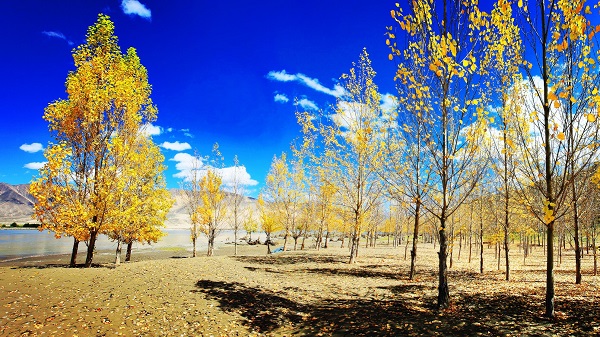 123456.jpg 123456.jpg