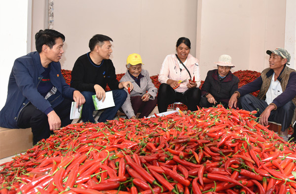 5_副本.jpg 5_副本.jpg