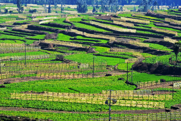 DSC_3272_副本_副本.jpg DSC_3272_副本_副本.jpg