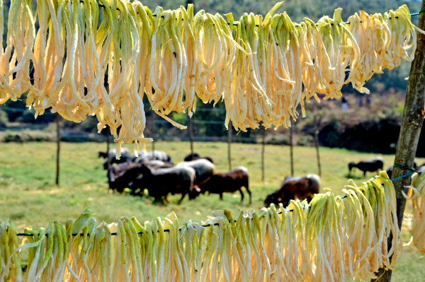 DSC_3849_副本.jpg DSC_3849_副本.jpg