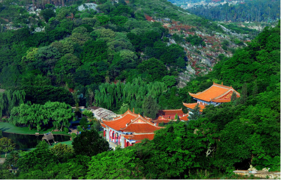 圖片11.png 圖片11.png