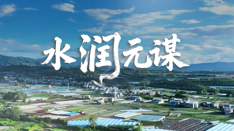 【完整版】水潤(rùn)元謀